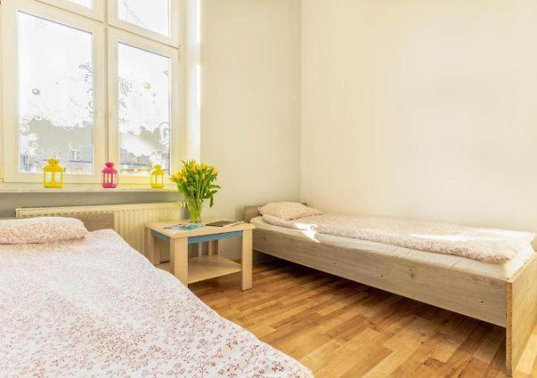 Vibe Hostel 索波特 外观 照片